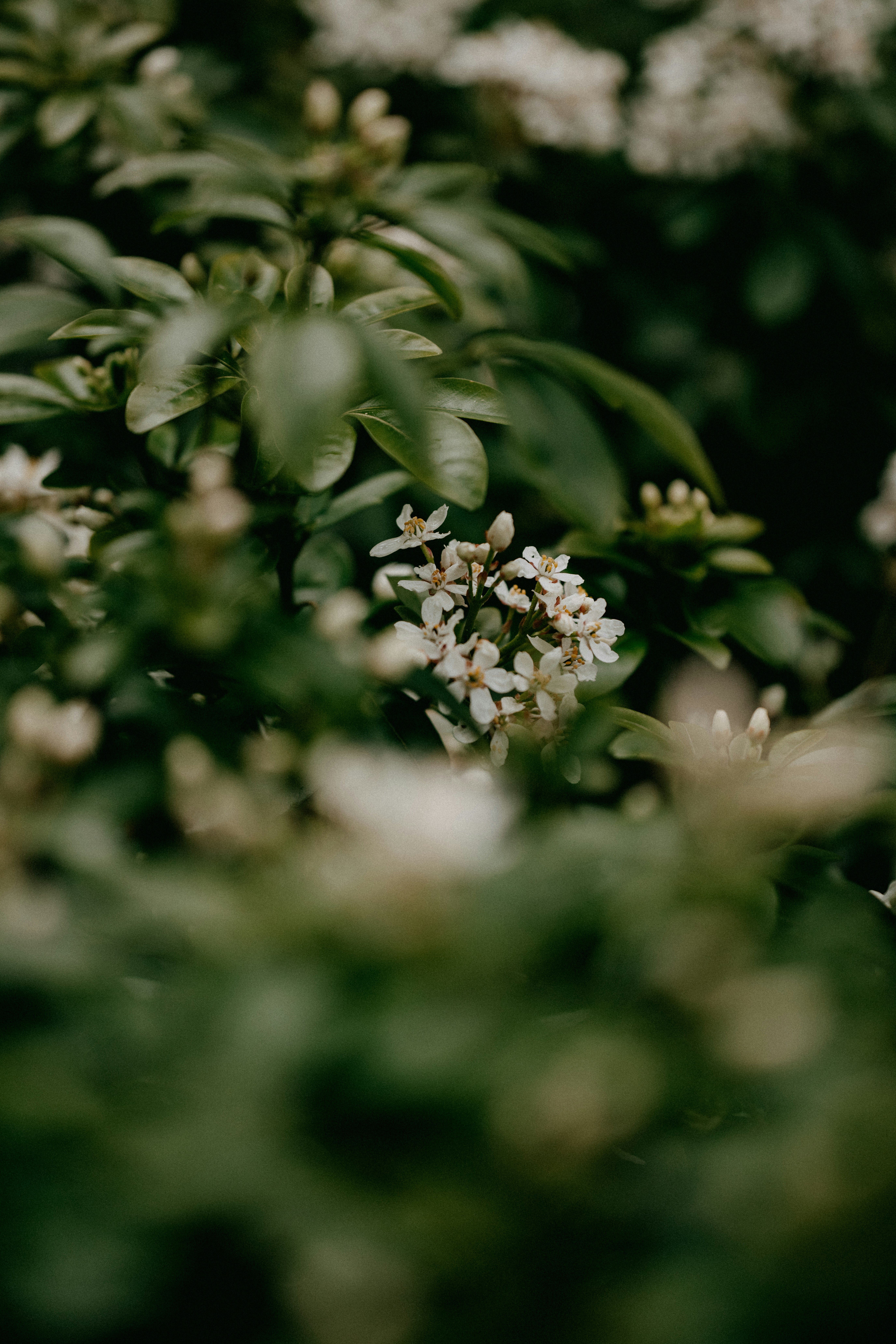 Photo by anniespratt