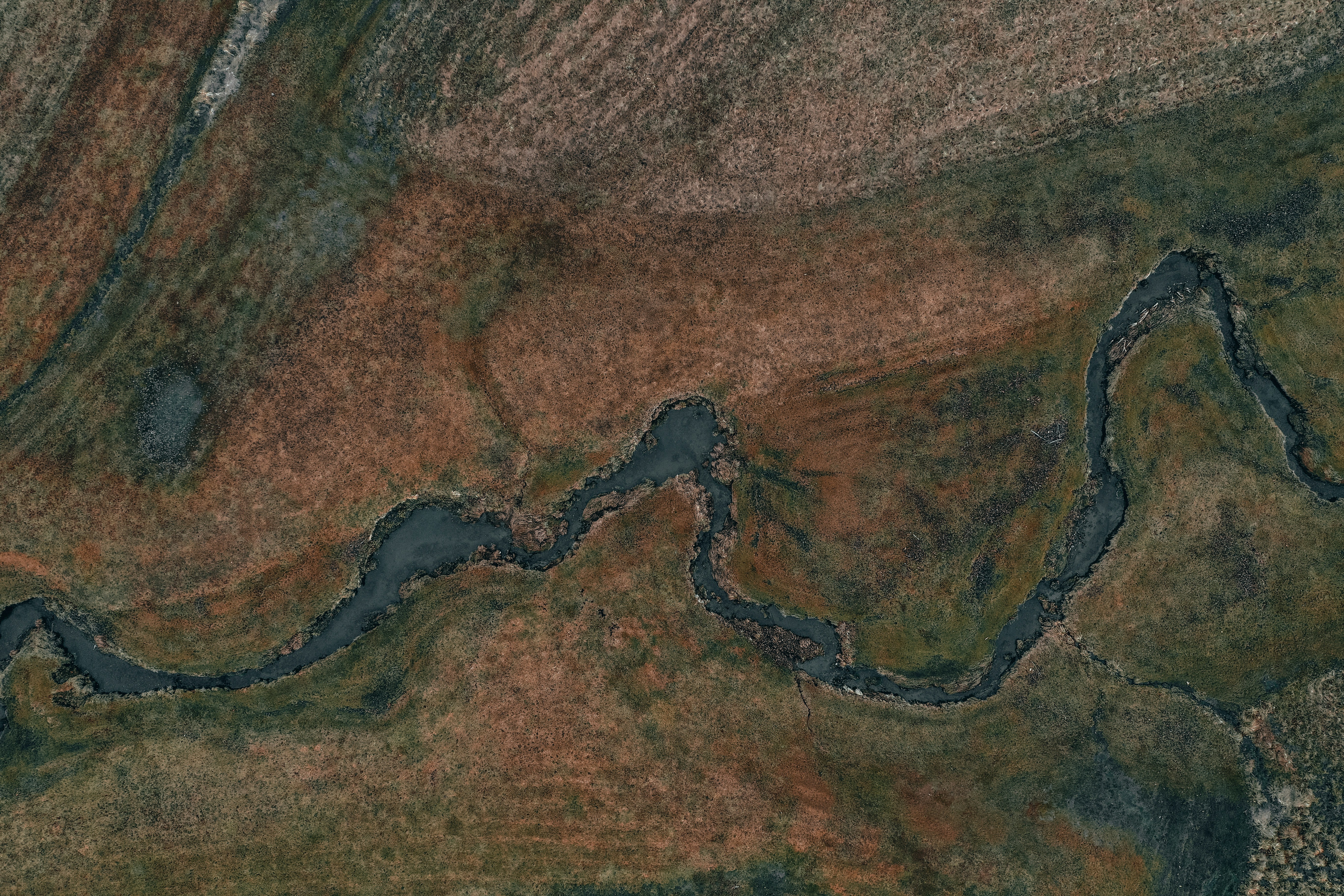 Photo by romandempire