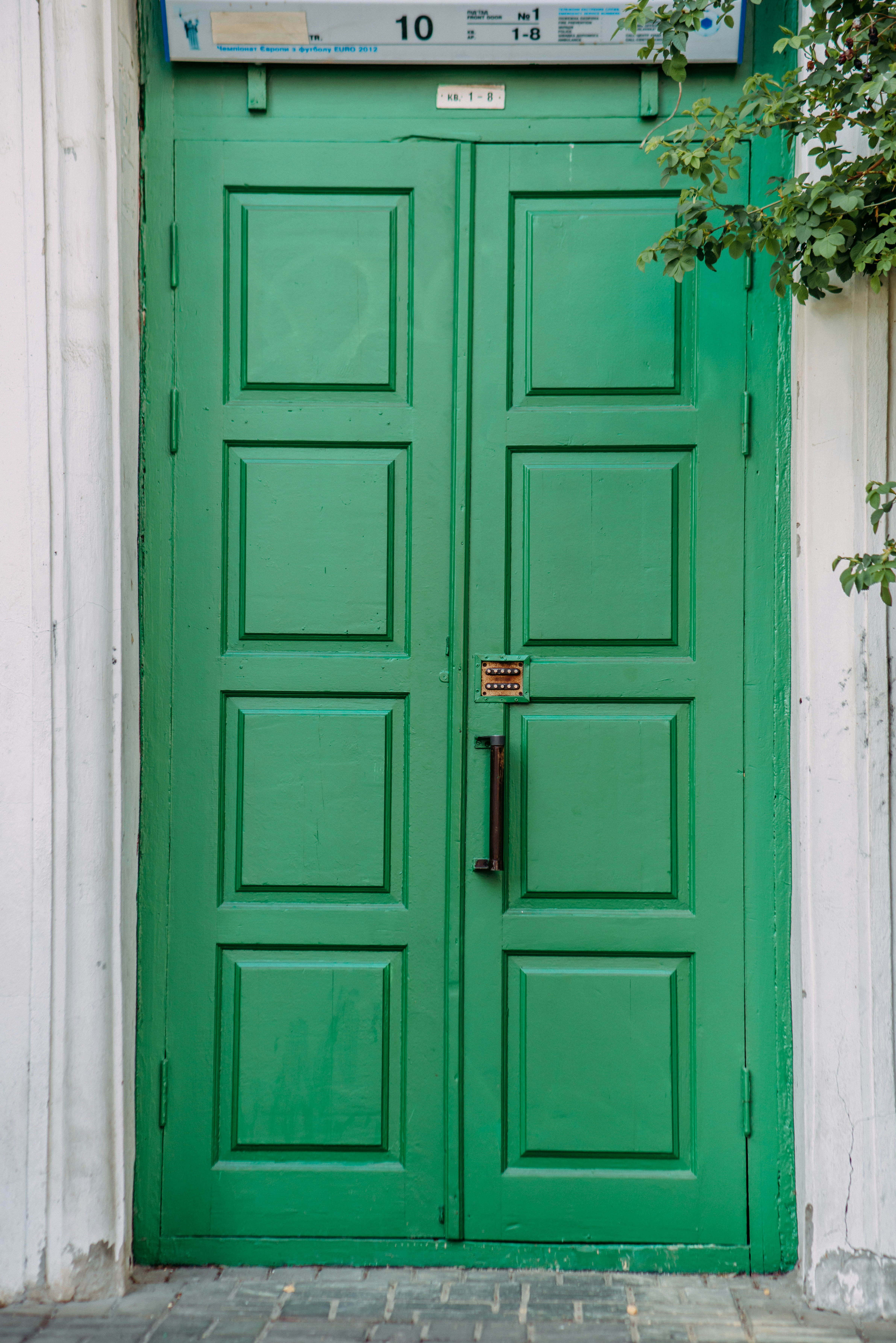 緑の植物と青い木製のドアの写真 Unsplashで見つけるドアの無料写真