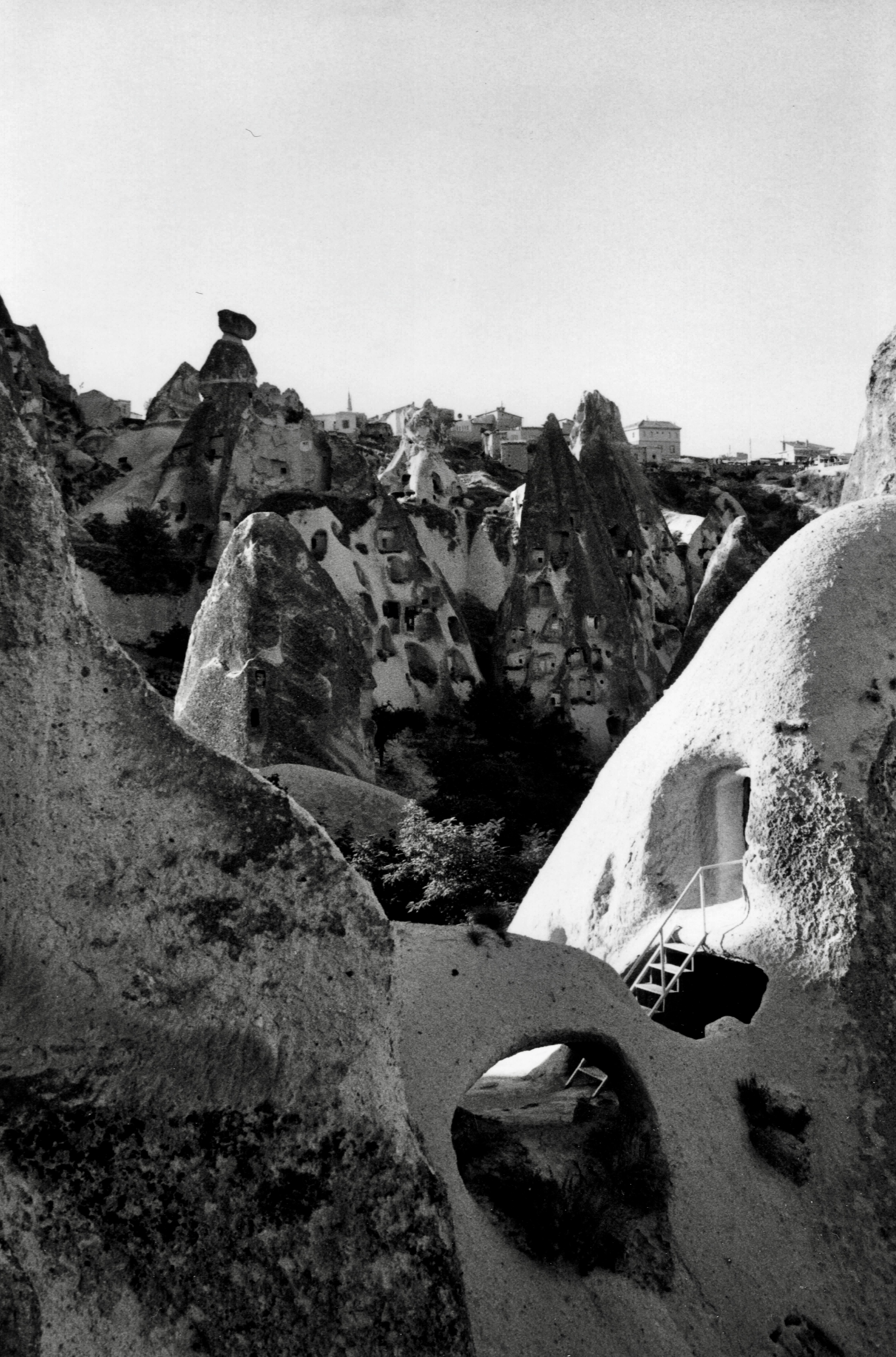 Photo by peterburdon