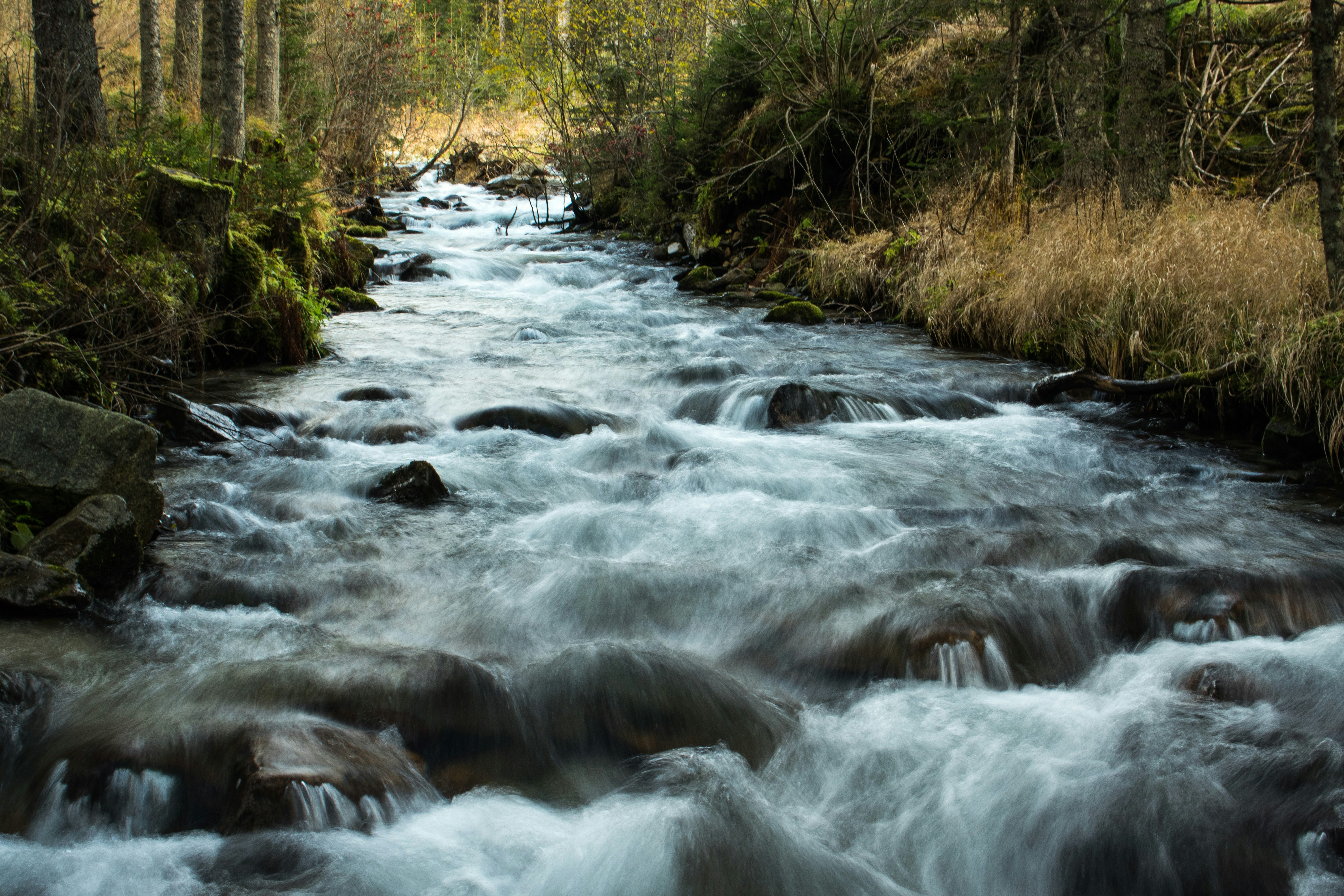 Photo by snowmountainer