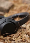 Black over-ear headphones resting on a bed of dried leaves, creating a blend of modern technology with a natural background.
