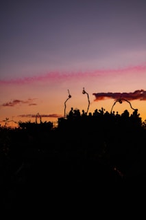 Silhouettes of people enjoying a deep house outdoor party at sunset.