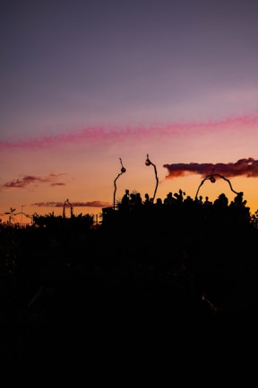 A group of friends dressed in Lumina outfits enjoying a rooftop sunset.