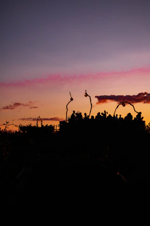 A group of friends dressed in vibrant Lumina Apparel pieces laughing on a rooftop at sunset.