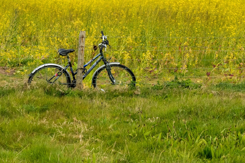 black and gray mountain bike on yellow flower field during daytime
