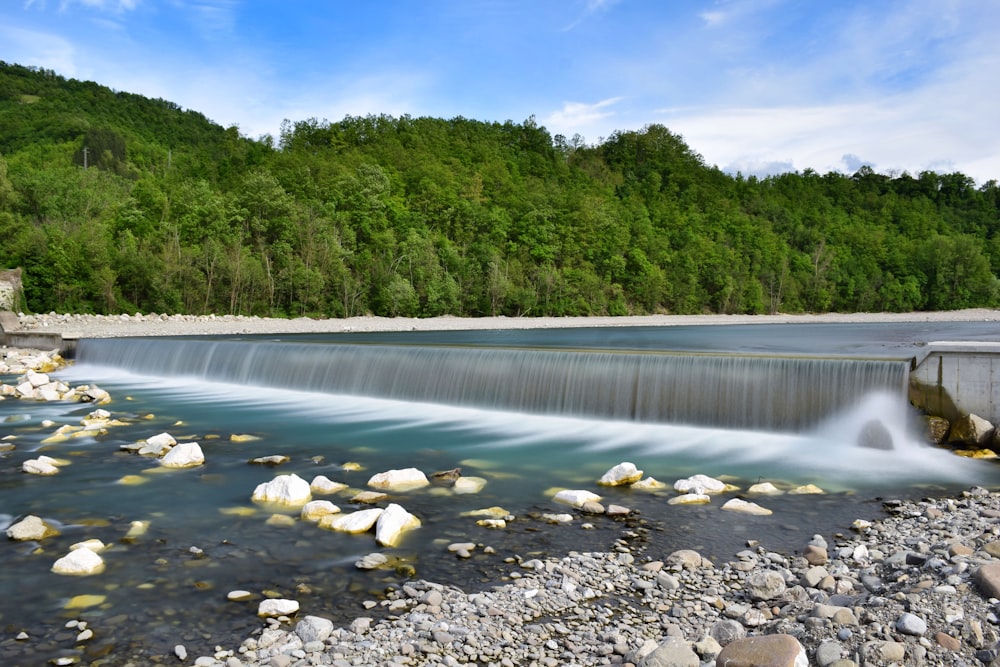 river between green trees under blue sky during daytime