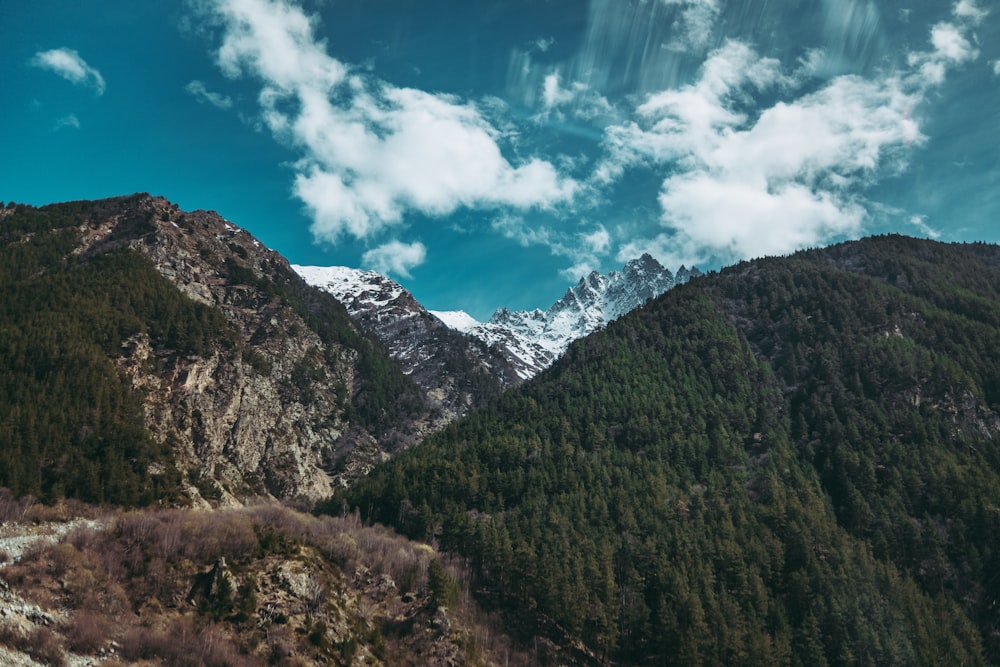 green trees on mountain under blue sky during daytime