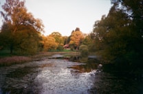 A tranquil pond surrounded by lush trees with autumn foliage, reflecting in the water. A small, rustic cabin is nestled among the trees in the distance, indicating a serene setting amidst nature.