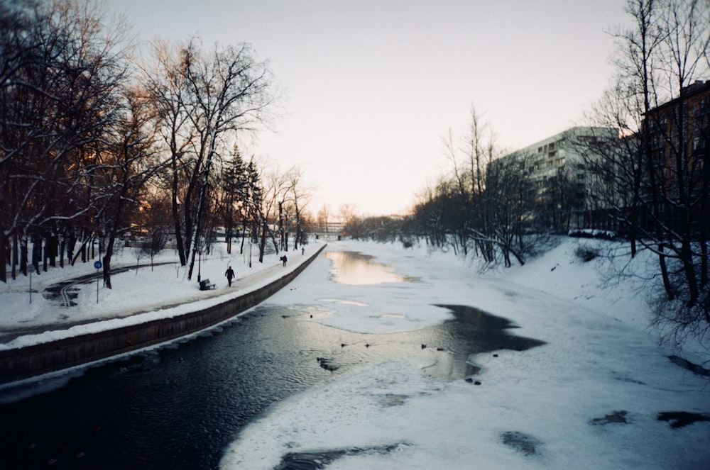 snow covered road during daytime