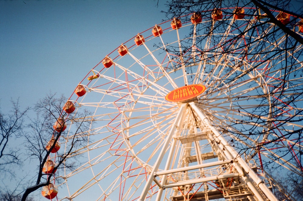 white ferris wheel under blue sky during daytime