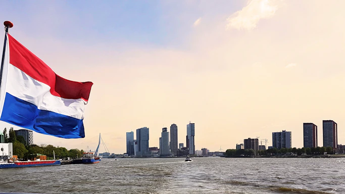 A sleek search bar interface with a cityscape of Rotterdam in the background.