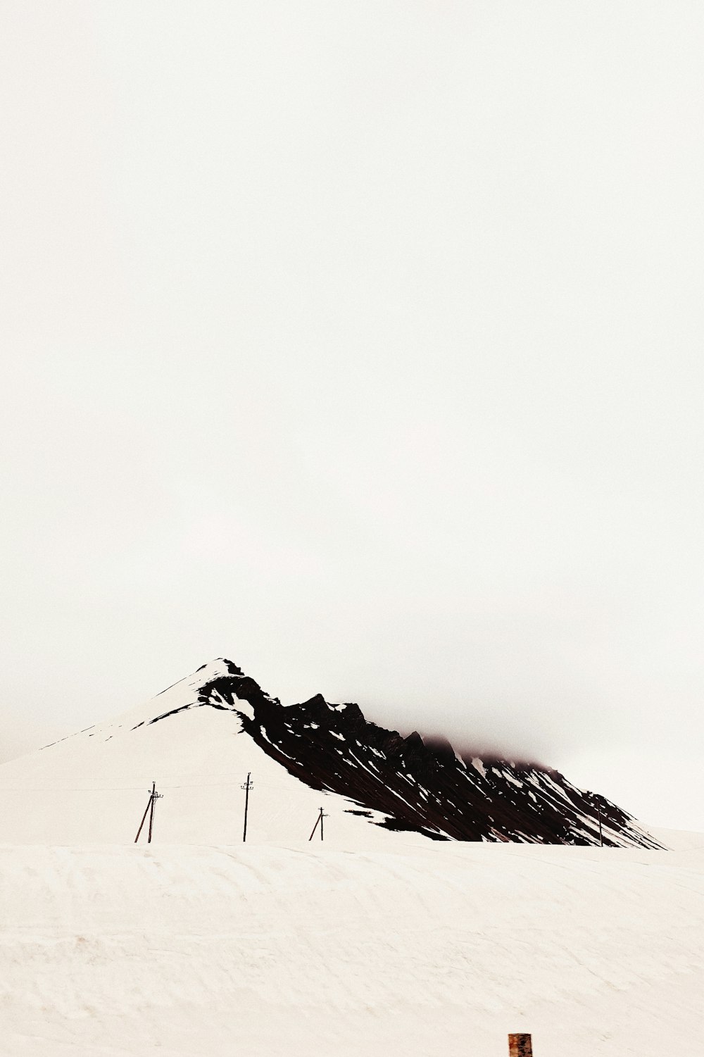 black bird on snow covered ground