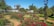 A well-manicured garden with vibrant red roses, neatly trimmed hedges, winding pathways, and tall palm trees. Classic street lamps add a historical touch, and a series of white pergolas provide architectural interest against a backdrop of clear blue sky.