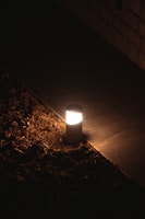 Waterproof outdoor flood light illuminating a garden pathway on a rainy evening.