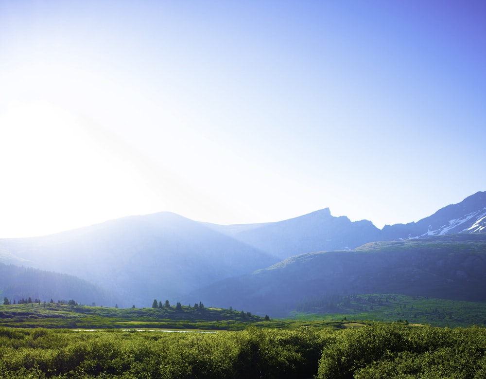 green grass field near green mountains under blue sky during daytime