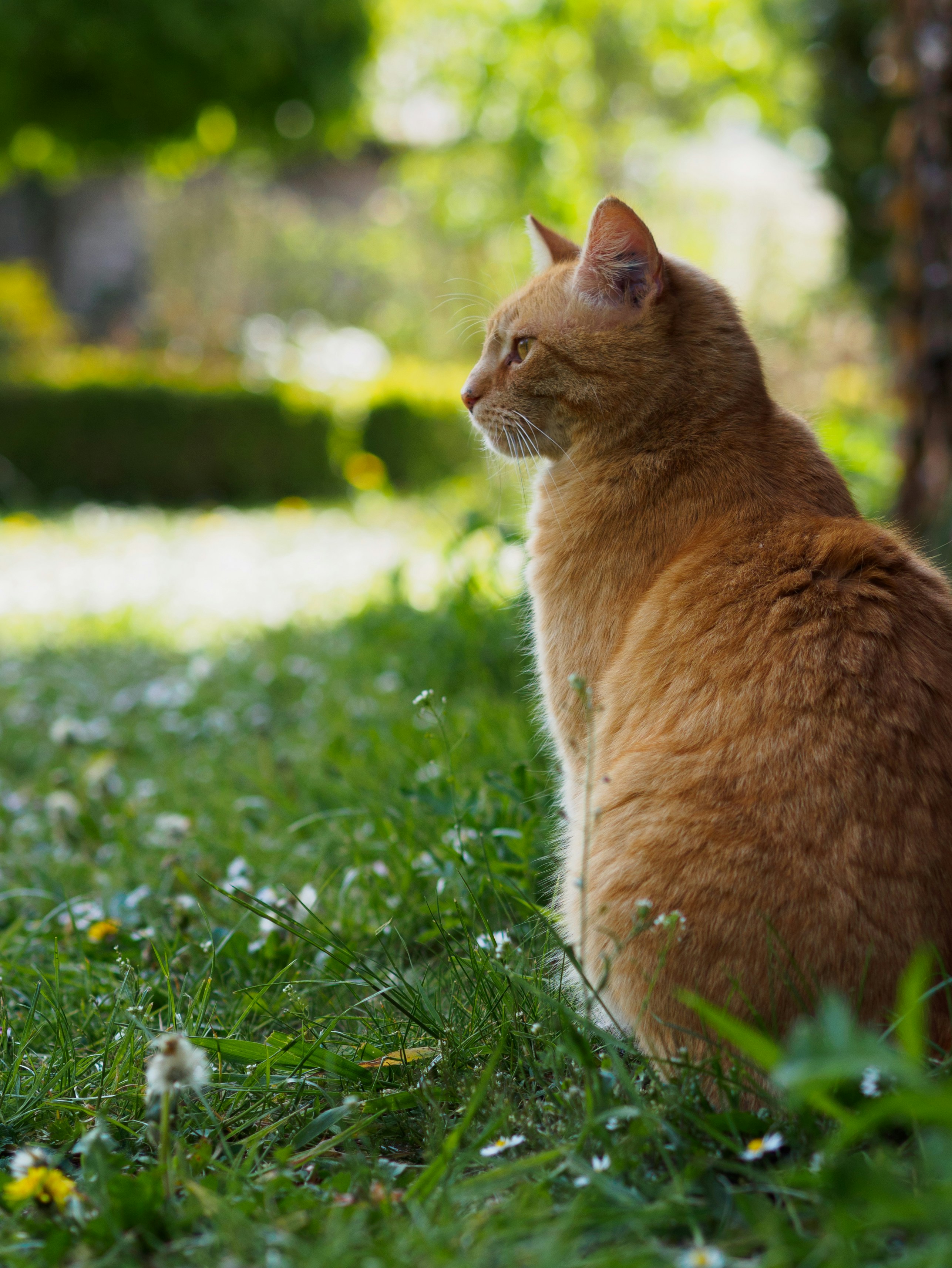 Photo by christiankrebel