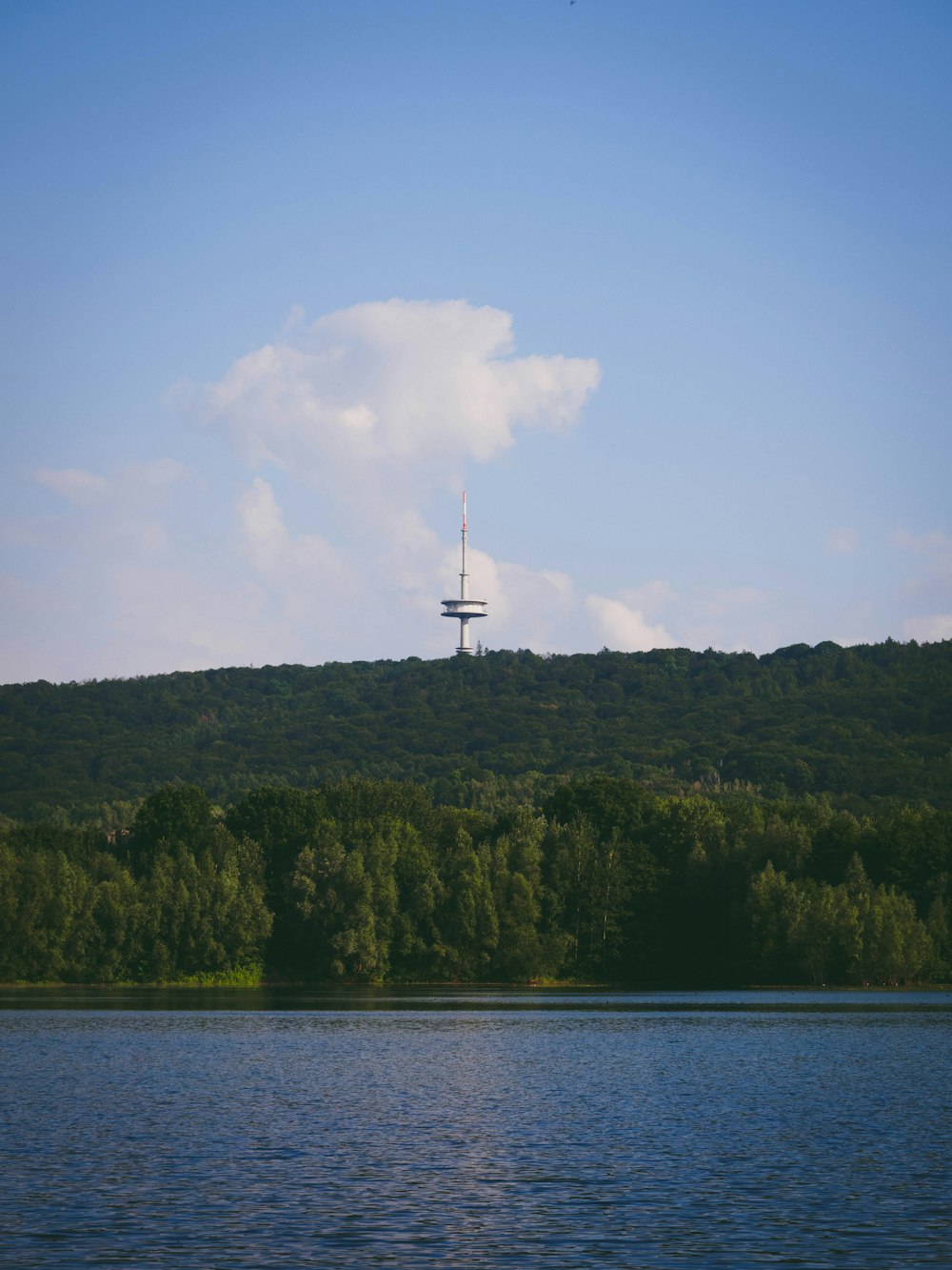 green trees on mountain near body of water during daytime