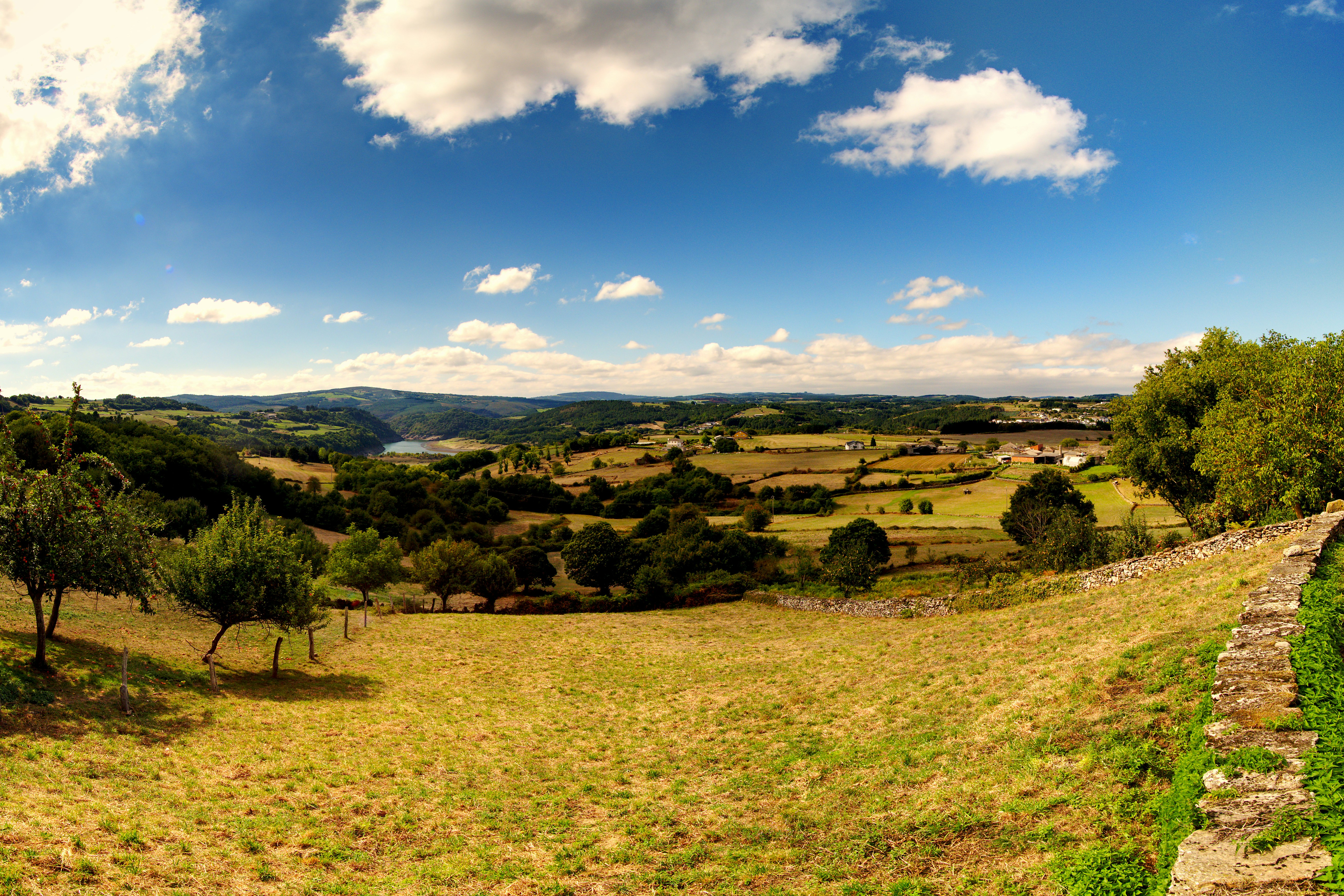 green grass field under blue sky during daytime