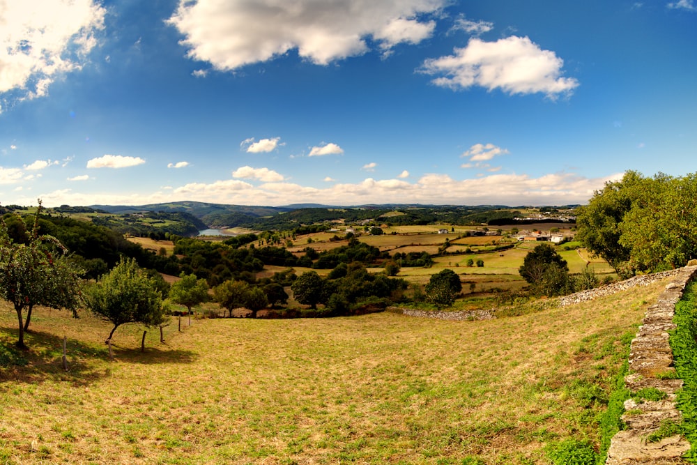 Grünes Grasfeld unter blauem Himmel tagsüber