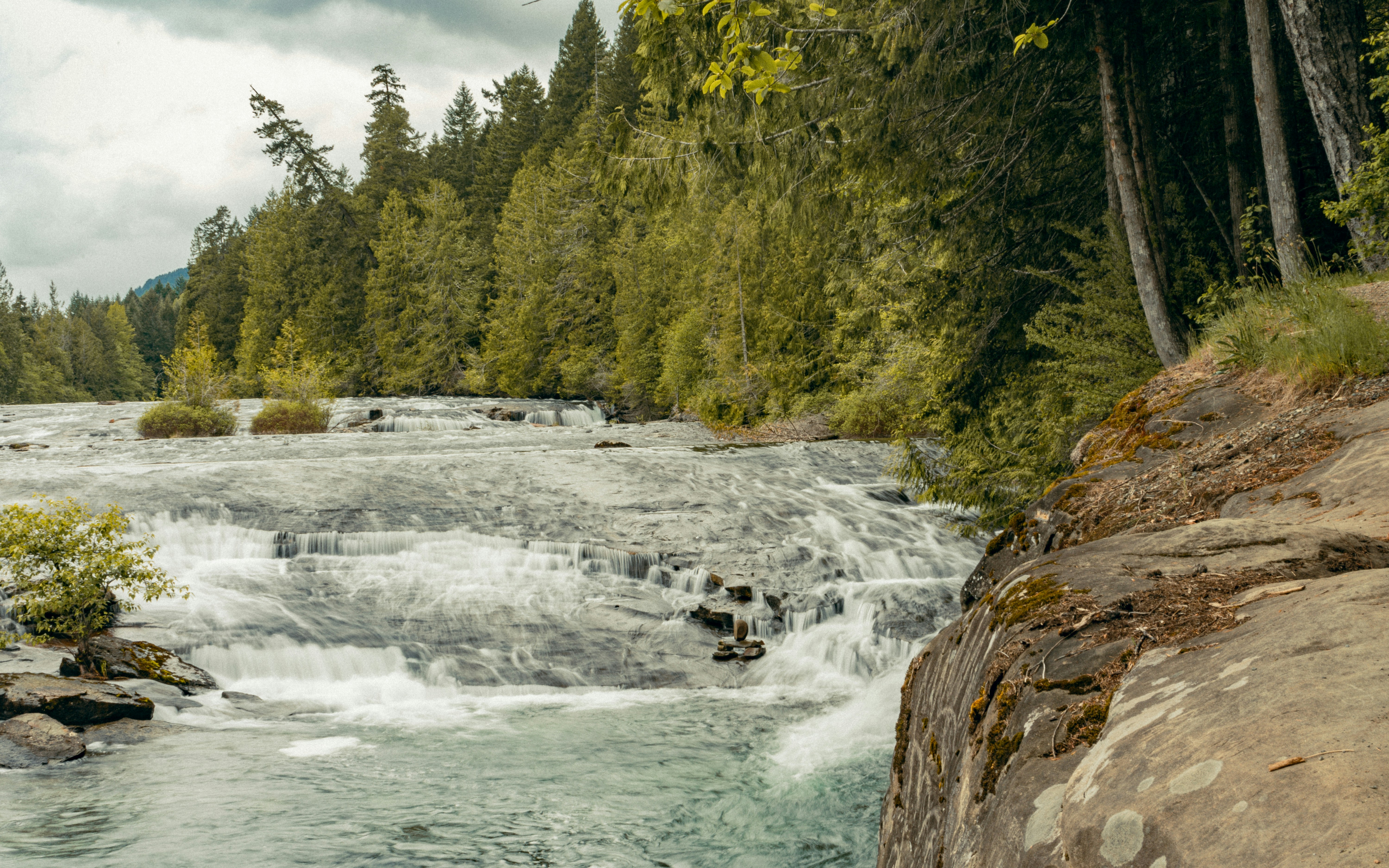 Photo by colefreeman