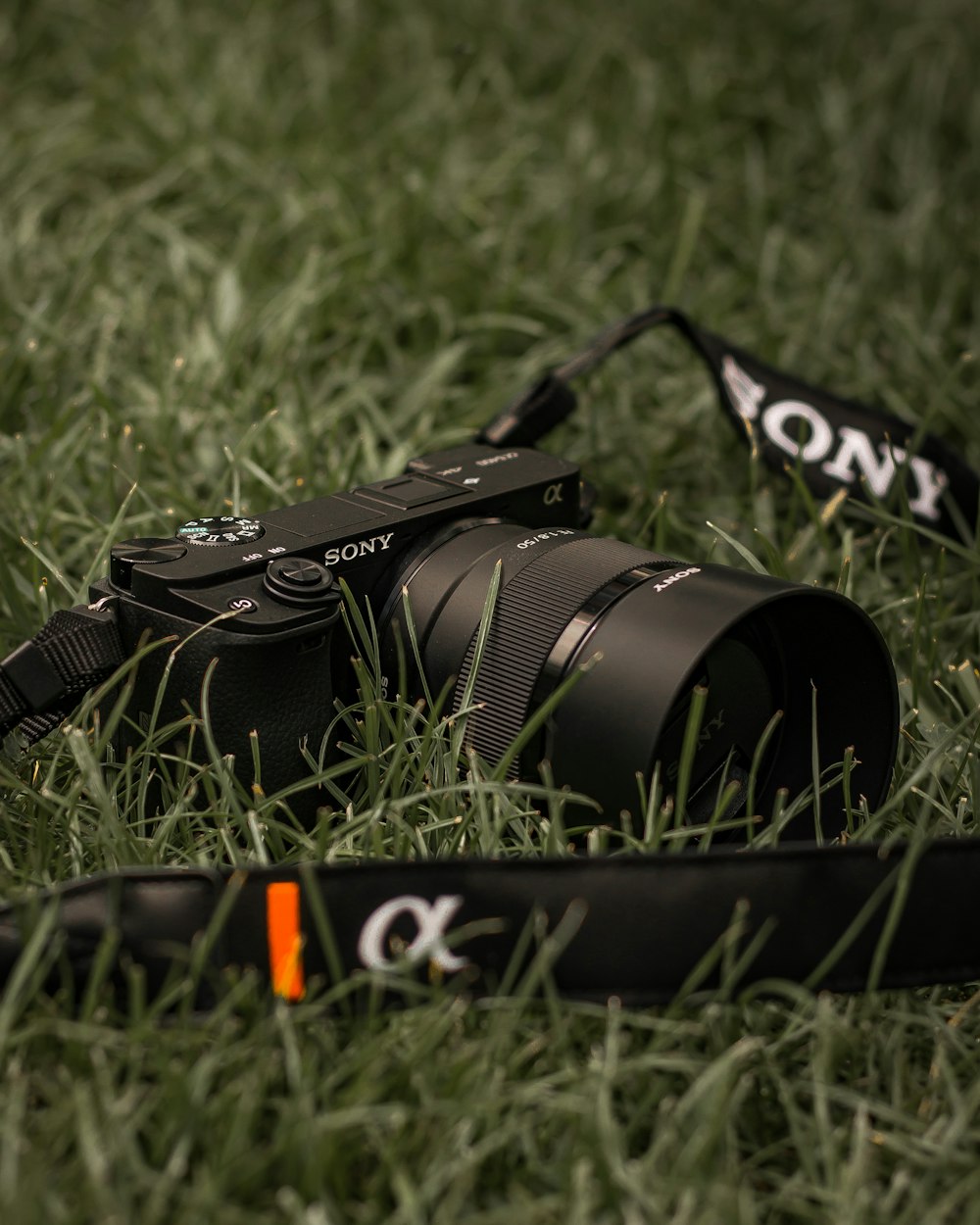 Schwarze Nikon DSLR-Kamera auf grünem Gras