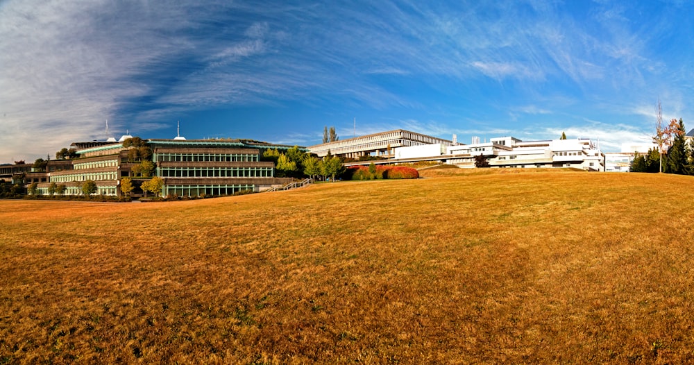 white and brown concrete building under blue sky during daytime