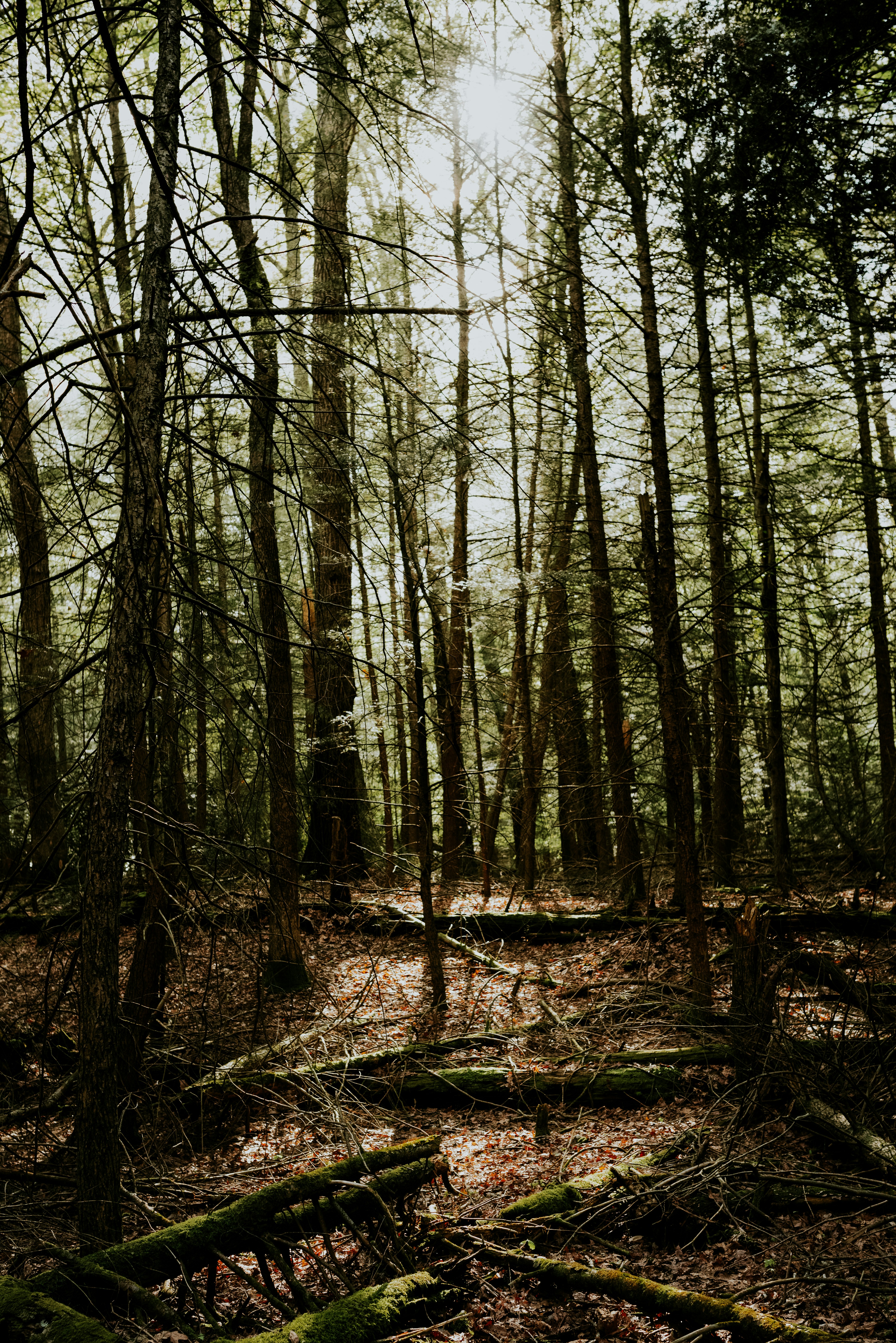 Photo by seitamaaphotography