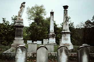 gray concrete statue near green trees during daytime