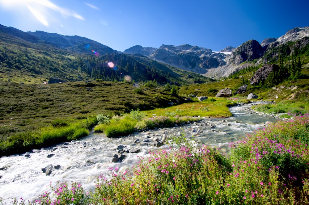 green grass field and mountain under blue sky during daytime