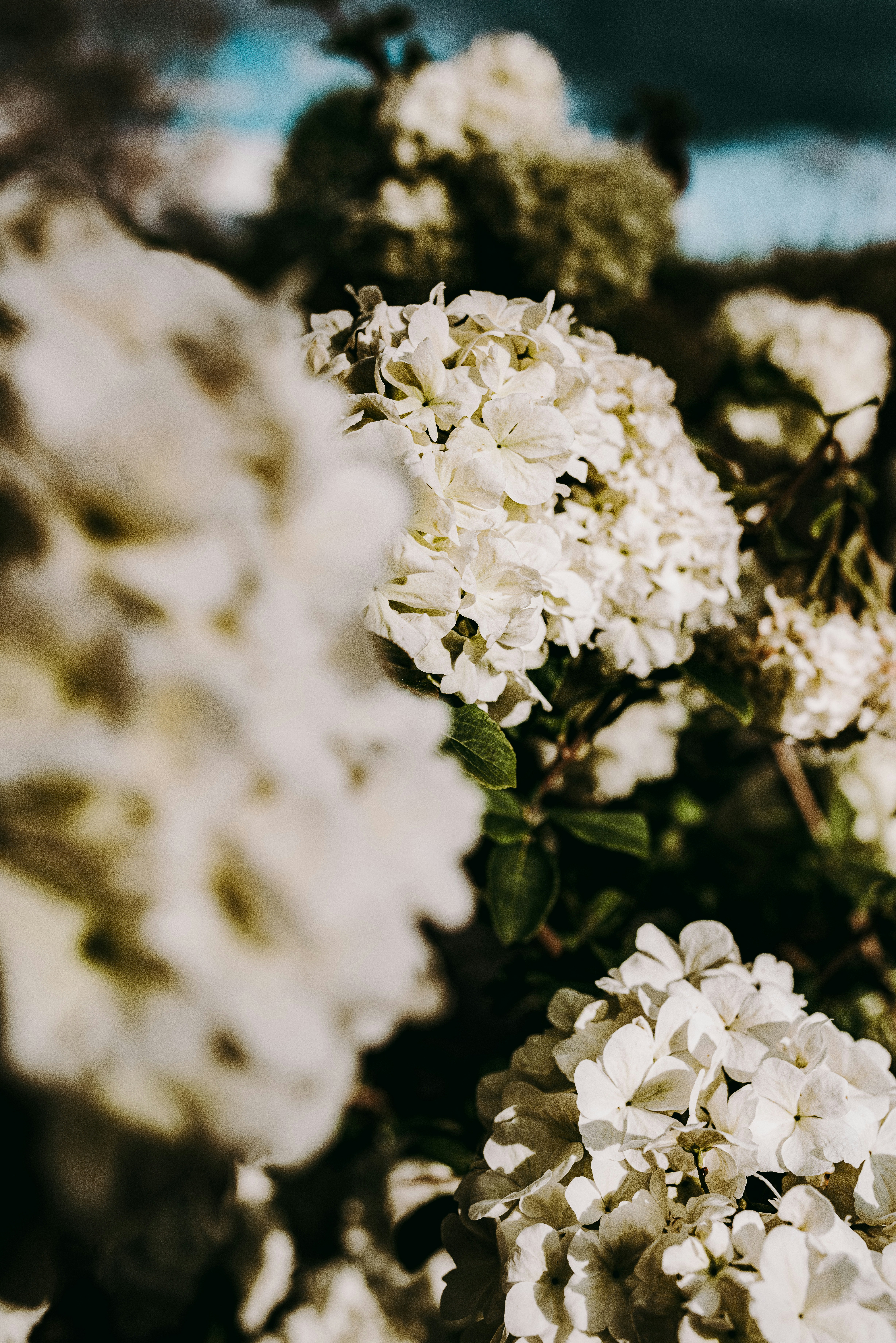 Photo by seitamaaphotography