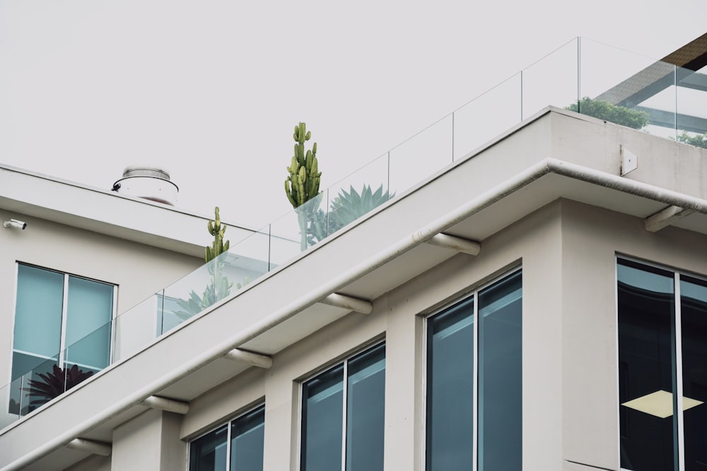 white concrete building with glass windows