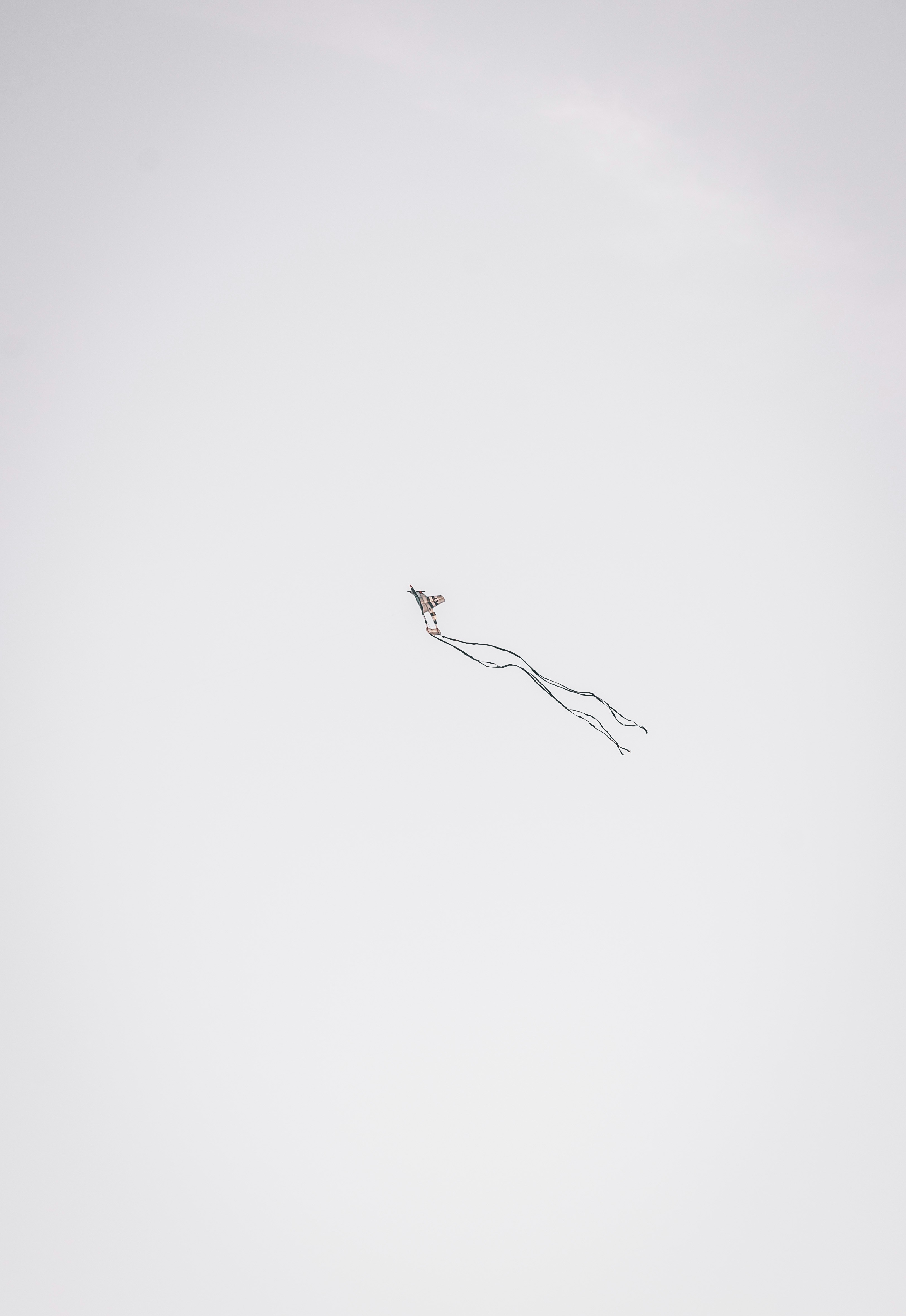 Photo by photographer_aidan