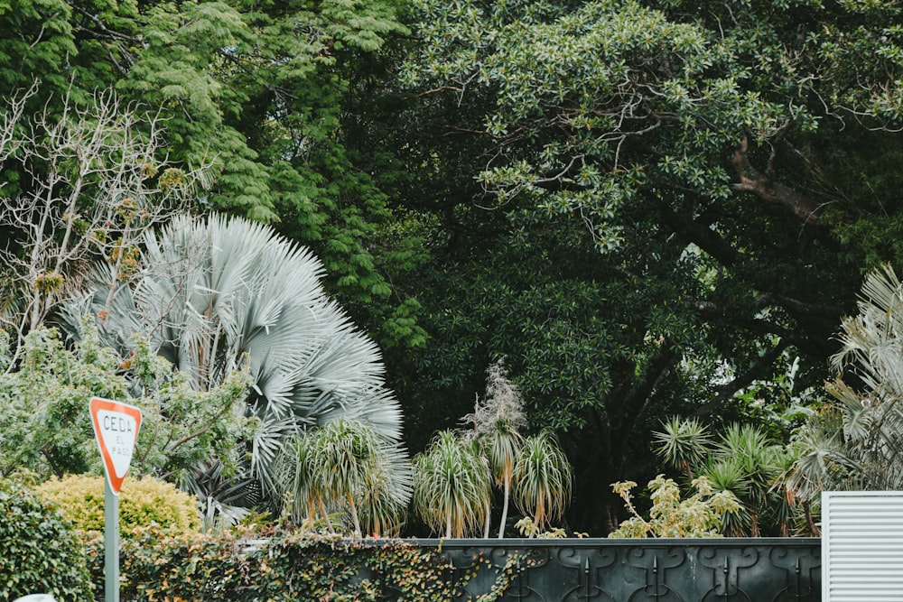 green trees near black metal fence during daytime