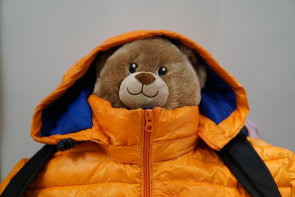 brown bear plush toy wearing blue and orange jacket