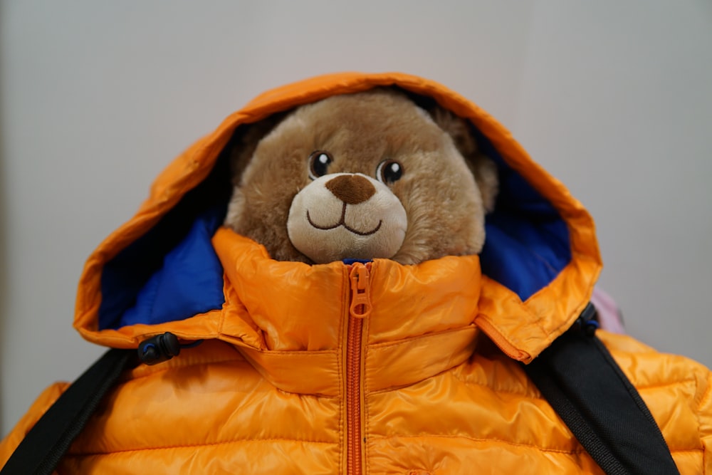 brown bear plush toy wearing blue and orange jacket