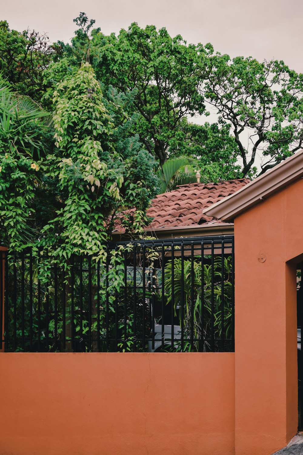 green trees beside brown concrete building