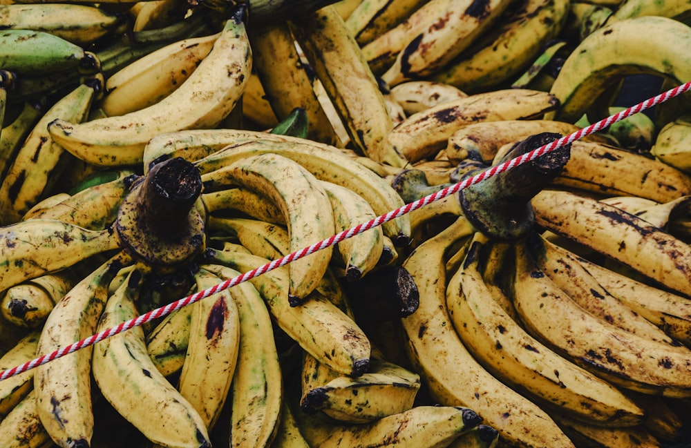 yellow banana fruit on white and pink rope