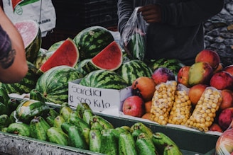 costa rica travel guide