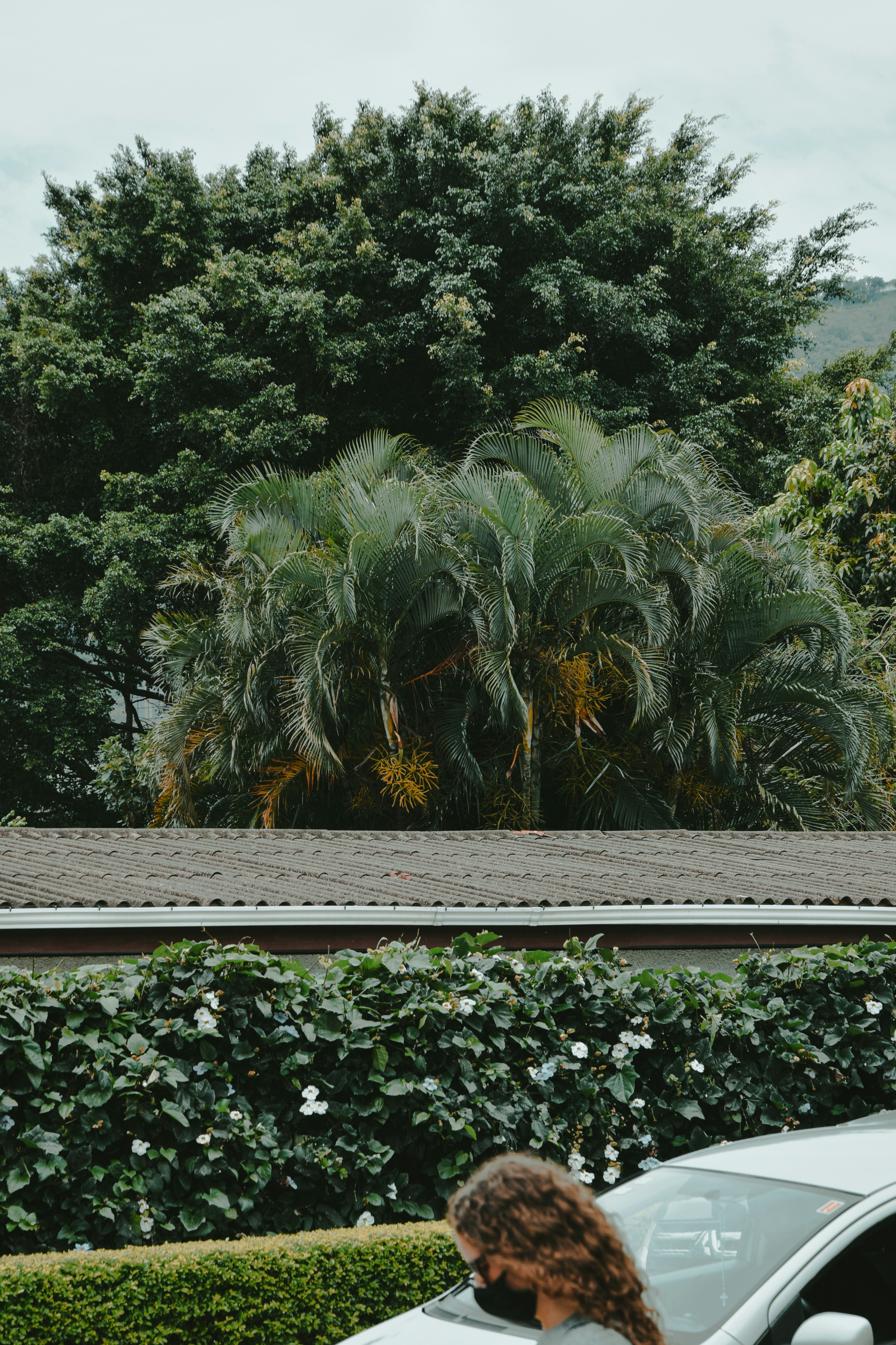 Photo by framesforyourheart