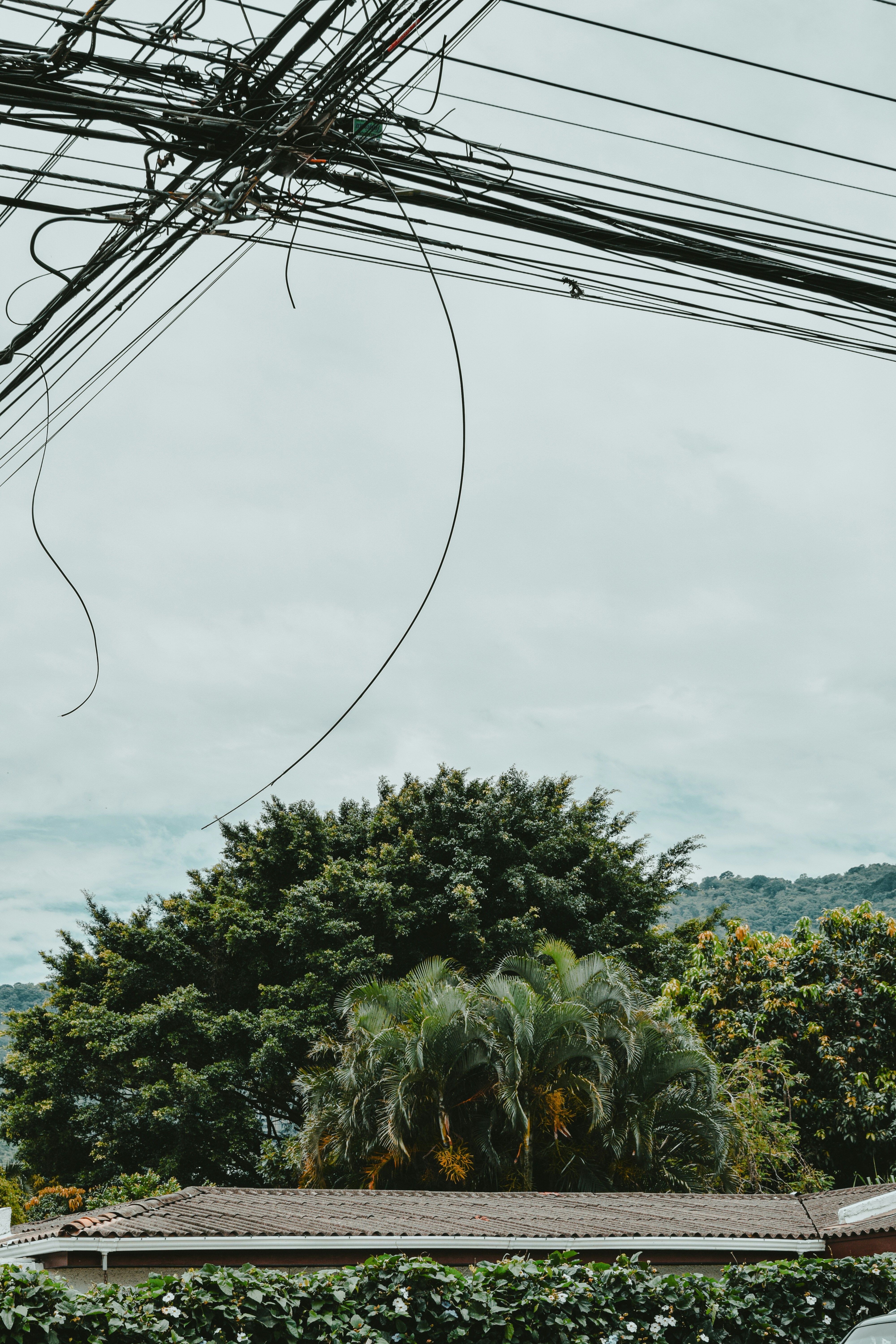 Photo by framesforyourheart