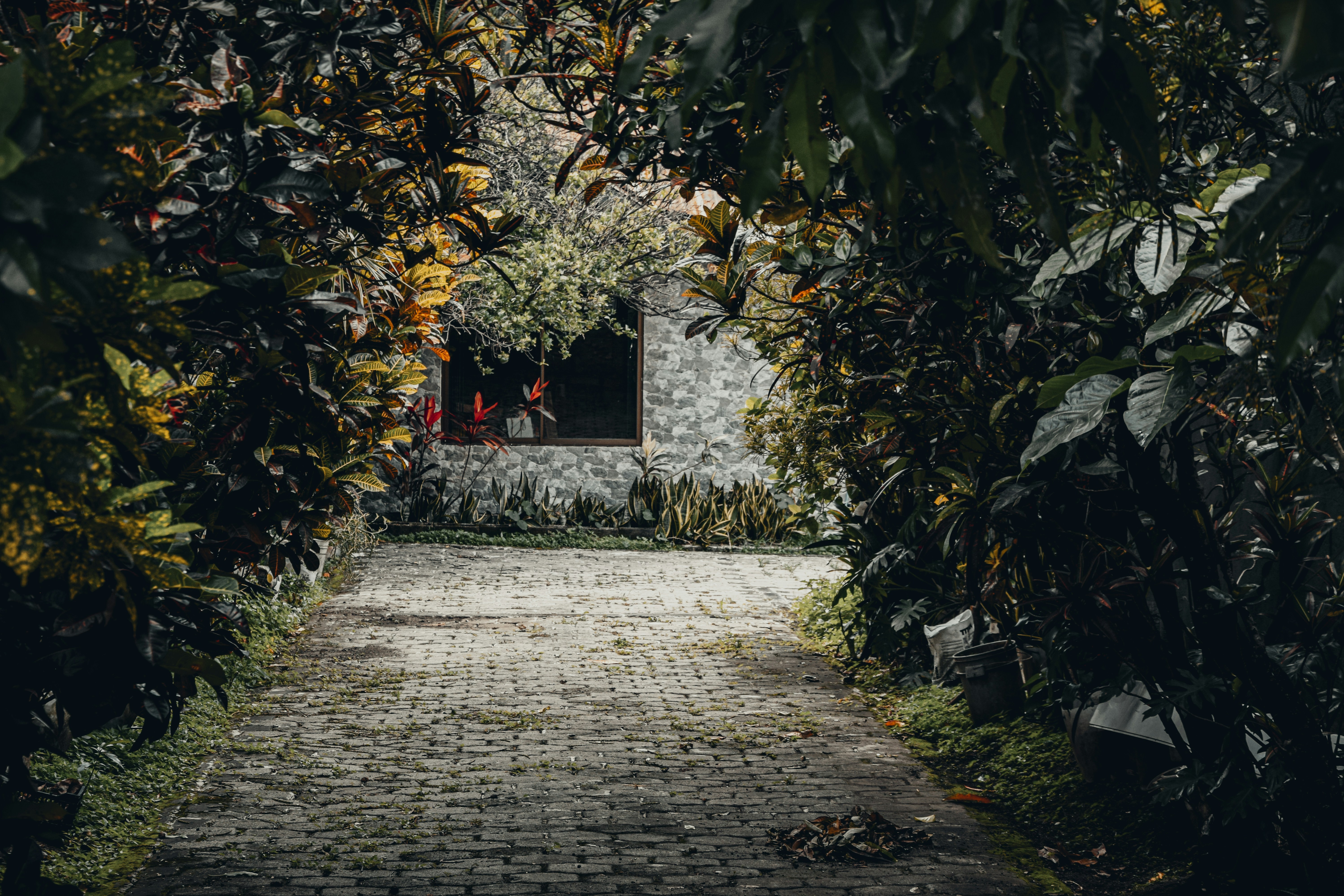 Photo by framesforyourheart