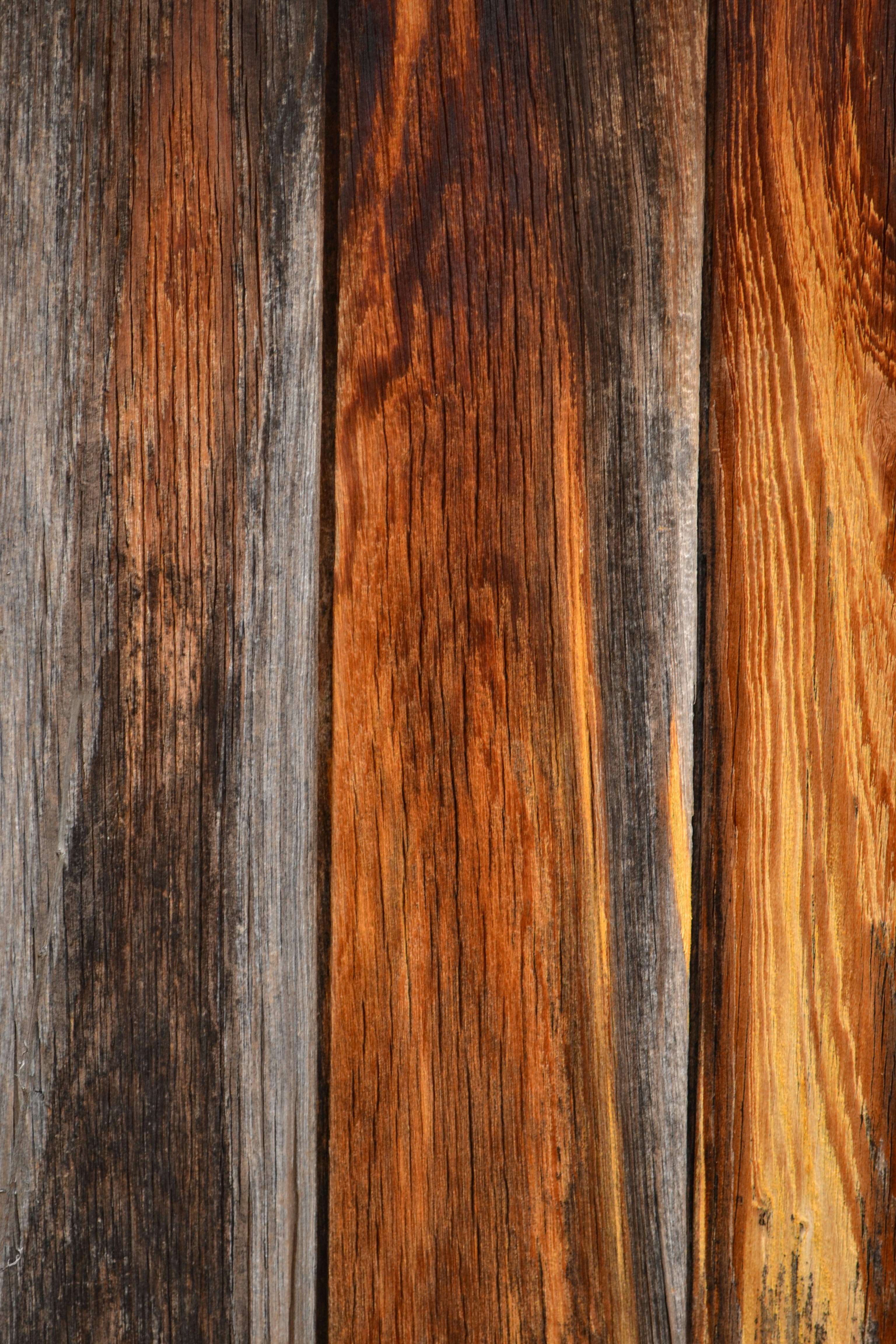 rustic wedding wallpaper, wallpaper, Wedding Planning Under $10,000: A Beautiful Celebration 6