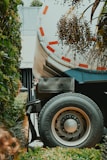 A large truck wheel with a visible Firestone tire is next to a lush garden area featuring a variety of green plants. Above the wheel, dried plant branches with small fruits dangle, and the truck's side features red and white reflective markings.