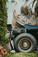 A large truck wheel with a visible Firestone tire is next to a lush garden area featuring a variety of green plants. Above the wheel, dried plant branches with small fruits dangle, and the truck's side features red and white reflective markings.