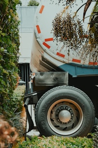 A large truck wheel with a visible Firestone tire is next to a lush garden area featuring a variety of green plants. Above the wheel, dried plant branches with small fruits dangle, and the truck's side features red and white reflective markings.