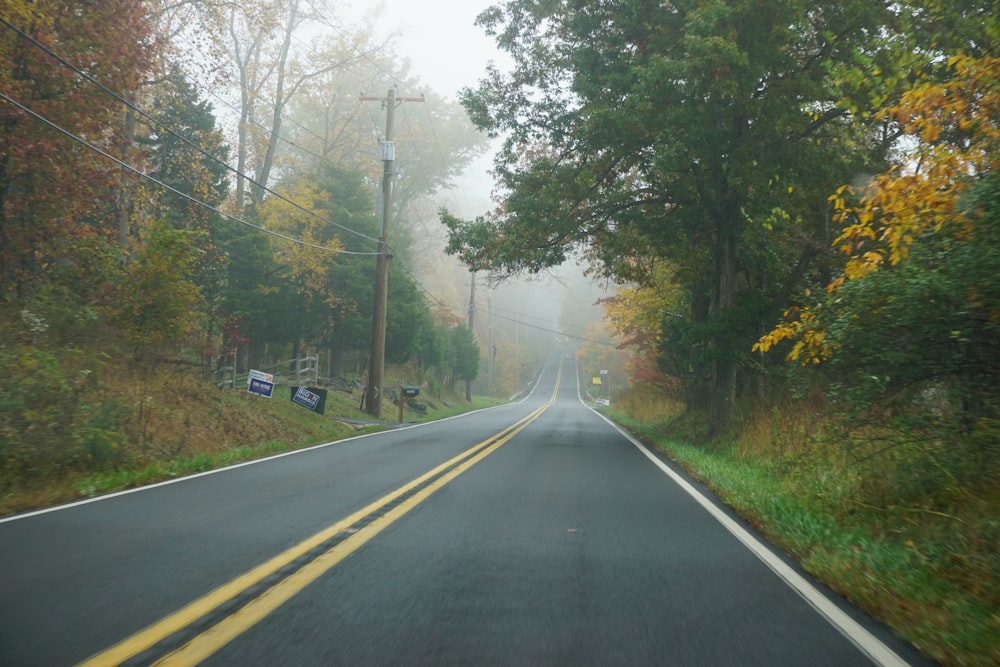 gray asphalt road between green trees during daytime