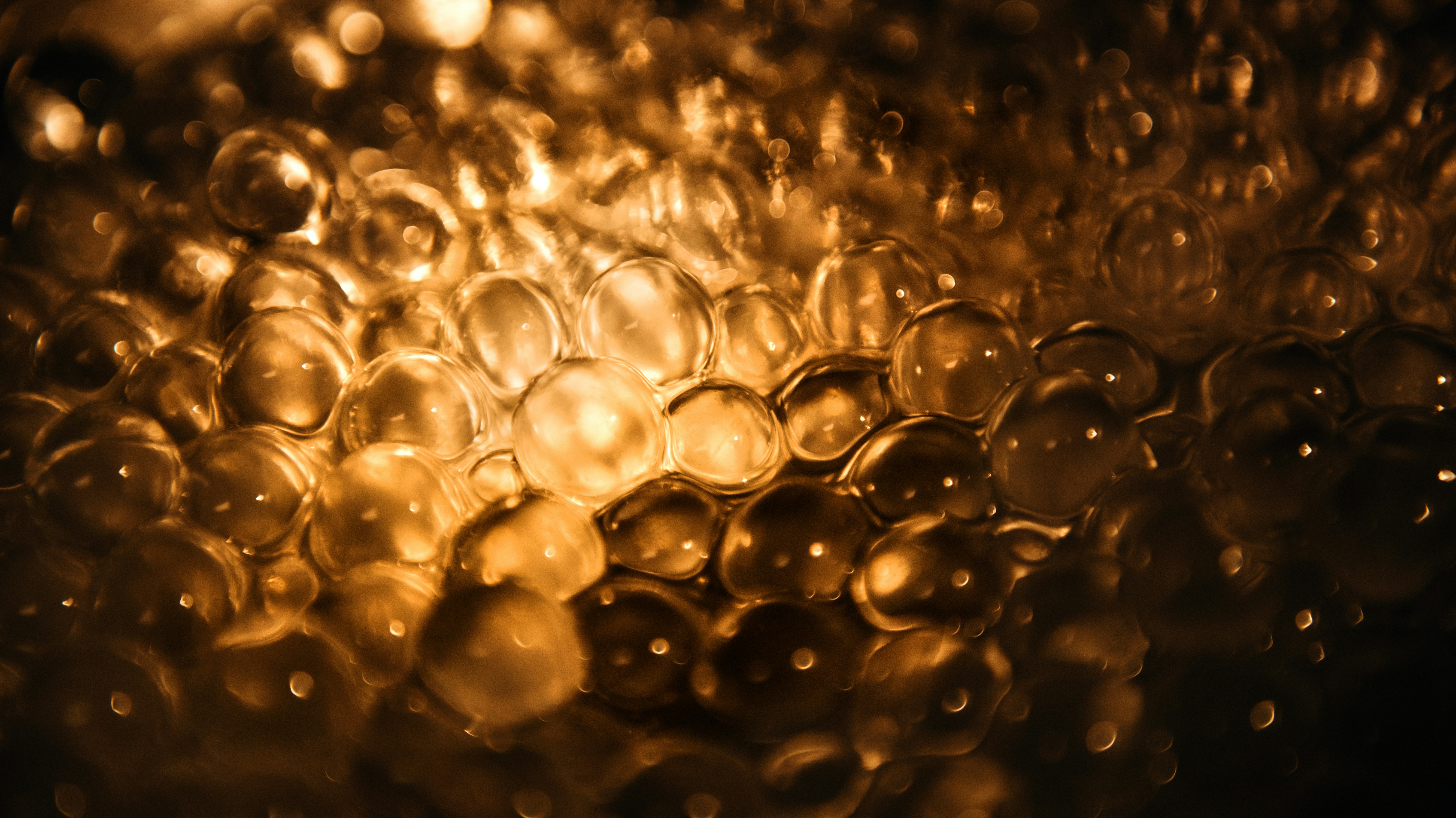 Photo by timmossholder