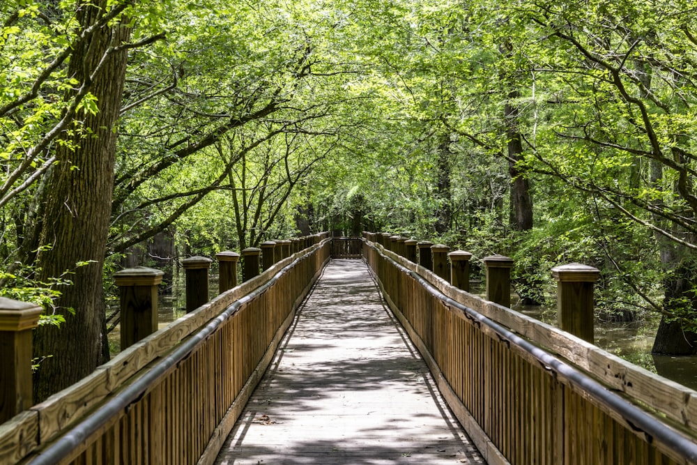 brown wooden bridge in the middle of green trees