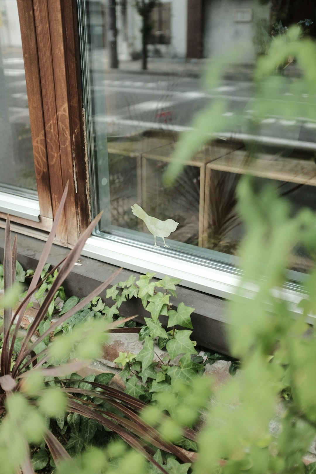 green plant beside white wooden framed glass window